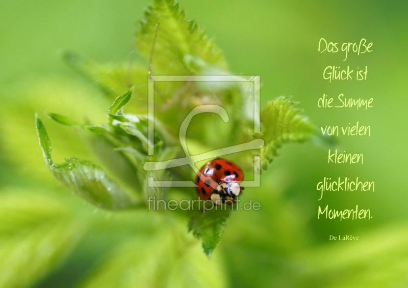 frei w&auml;hlbarer Bildausschnitt f&uuml;r Ihr Bild auf Tischdecke