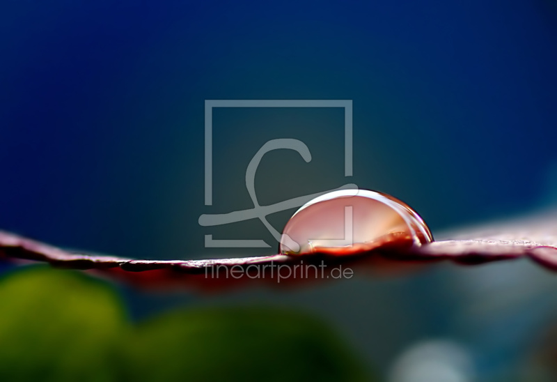 frei w&auml;hlbarer Bildausschnitt f&uuml;r Ihr Bild auf Tischdecke