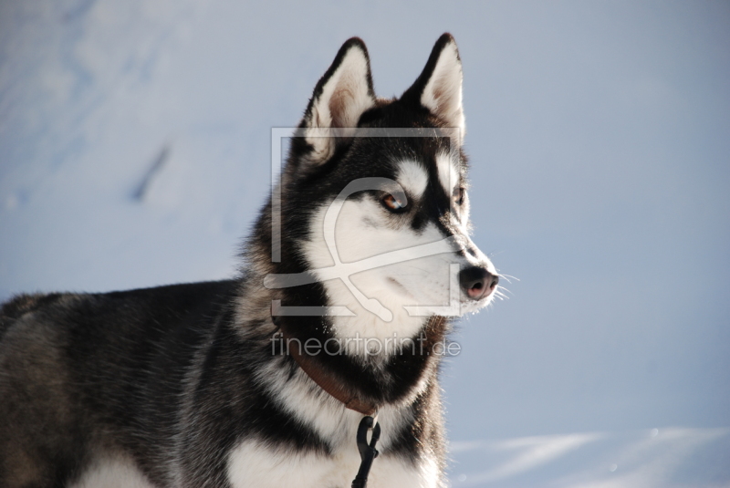 frei w&auml;hlbarer Bildausschnitt f&uuml;r Ihr Bild auf Tischdecke