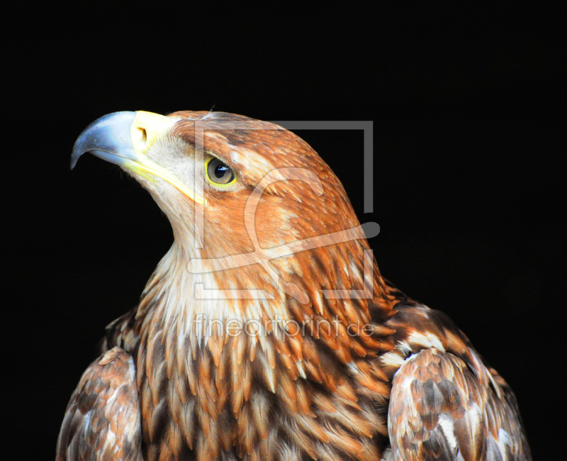 frei w&auml;hlbarer Bildausschnitt f&uuml;r Ihr Bild auf Tischdecke