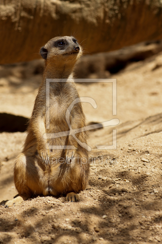 frei w&auml;hlbarer Bildausschnitt f&uuml;r Ihr Bild auf Tischdecke