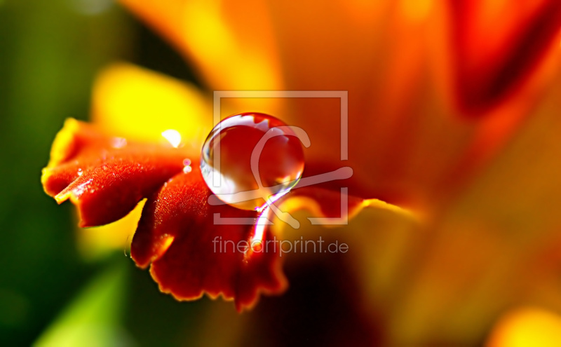 frei w&auml;hlbarer Bildausschnitt f&uuml;r Ihr Bild auf Tischdecke