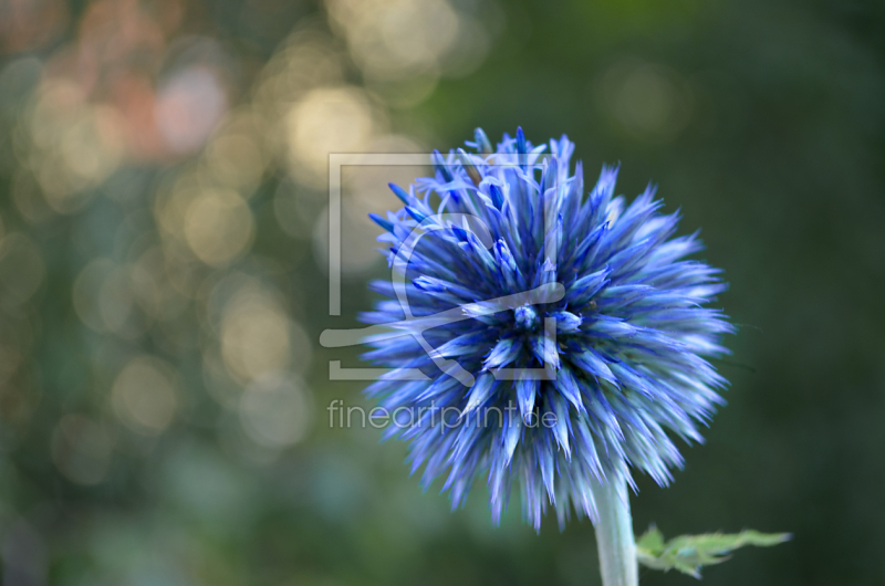 frei w&auml;hlbarer Bildausschnitt f&uuml;r Ihr Bild auf Tischdecke
