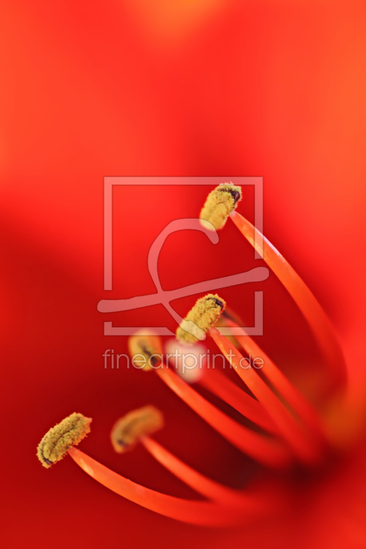 frei w&auml;hlbarer Bildausschnitt f&uuml;r Ihr Bild auf Tischdecke