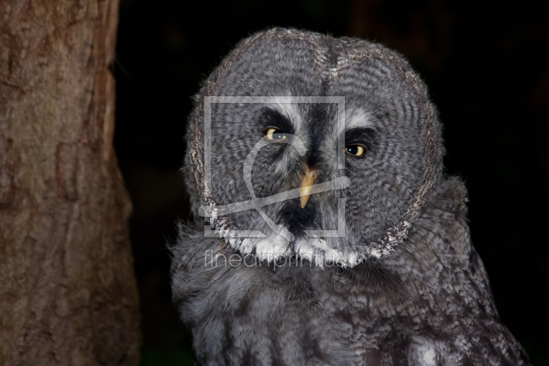 frei w&auml;hlbarer Bildausschnitt f&uuml;r Ihr Bild auf Tischdecke