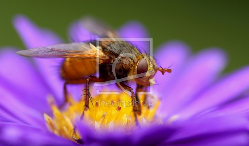frei w&auml;hlbarer Bildausschnitt f&uuml;r Ihr Bild auf Tischdecke