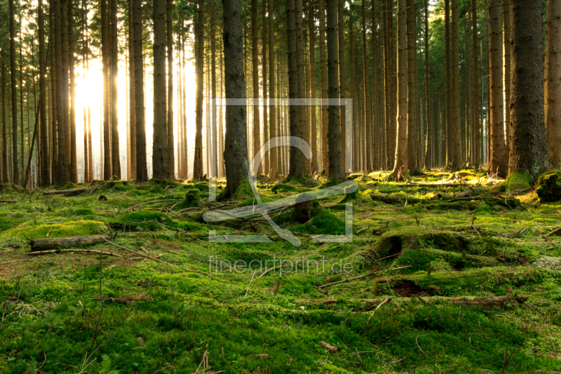frei wählbarer Bildausschnitt für Ihr Bild auf Tischdecke