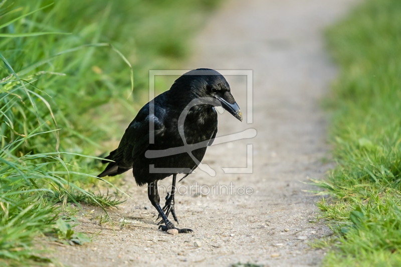 frei wählbarer Bildausschnitt für Ihr Bild auf Tischdecke