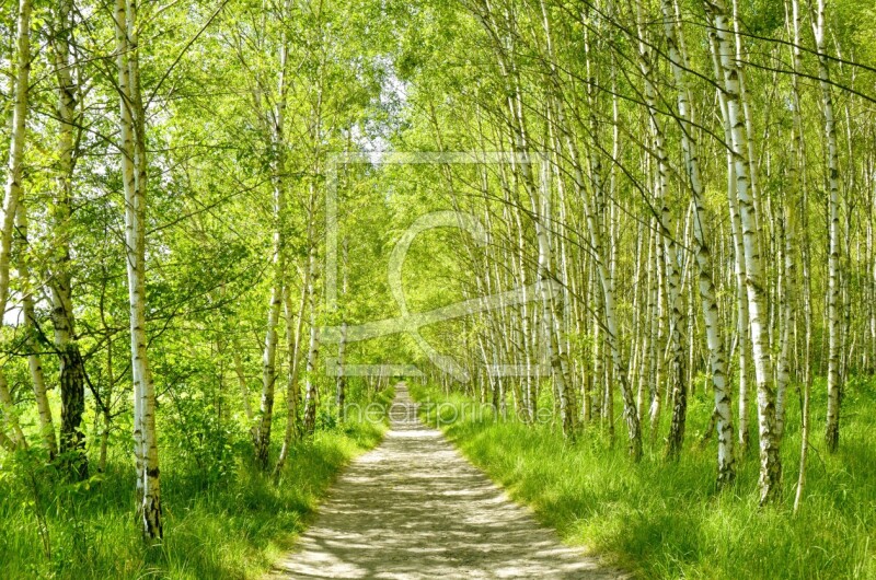 frei wählbarer Bildausschnitt für Ihr Bild auf Tischdecke