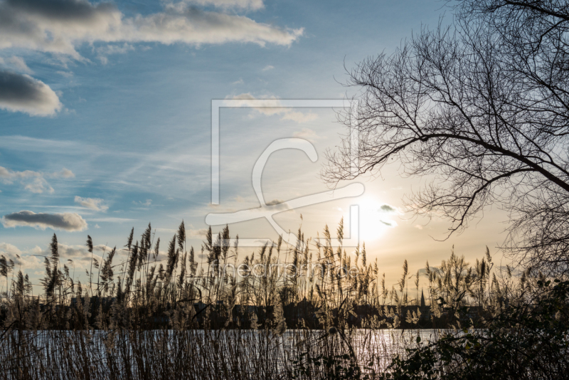 frei w&auml;hlbarer Bildausschnitt f&uuml;r Ihr Bild auf Tischdecke