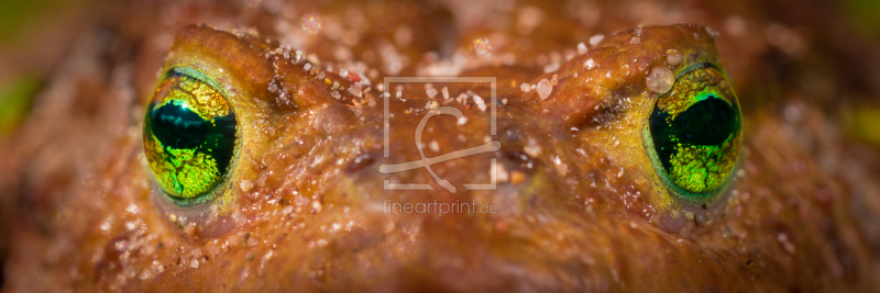 frei w&auml;hlbarer Bildausschnitt f&uuml;r Ihr Bild auf Tischdecke