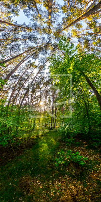 frei wählbarer Bildausschnitt für Ihr Bild auf Tischdecke