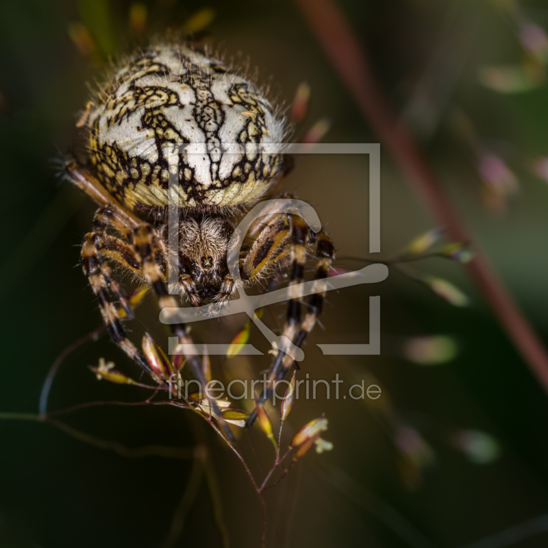 frei w&auml;hlbarer Bildausschnitt f&uuml;r Ihr Bild auf Tischdecke