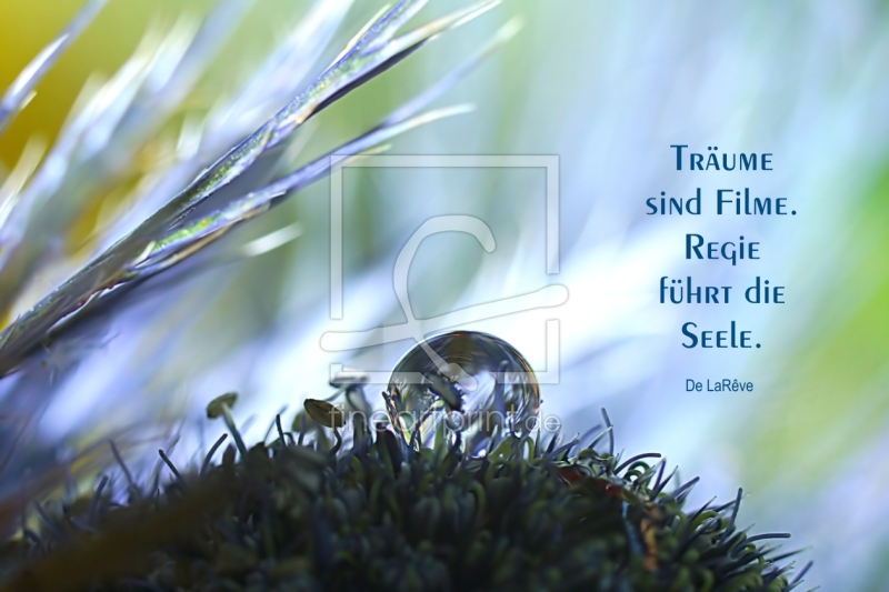 frei w&auml;hlbarer Bildausschnitt f&uuml;r Ihr Bild auf Tischdecke