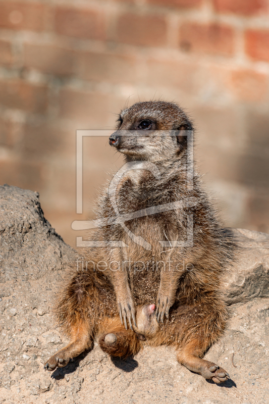 frei wählbarer Bildausschnitt für Ihr Bild auf Tischdecke