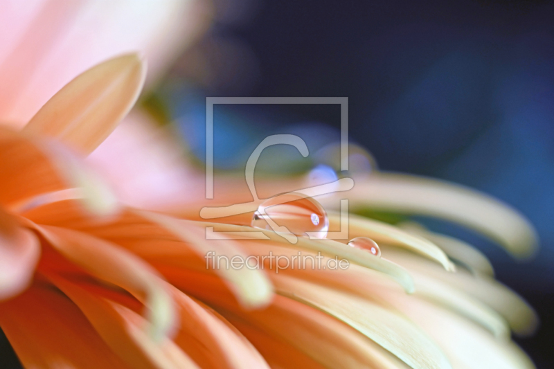 frei w&auml;hlbarer Bildausschnitt f&uuml;r Ihr Bild auf Tischdecke