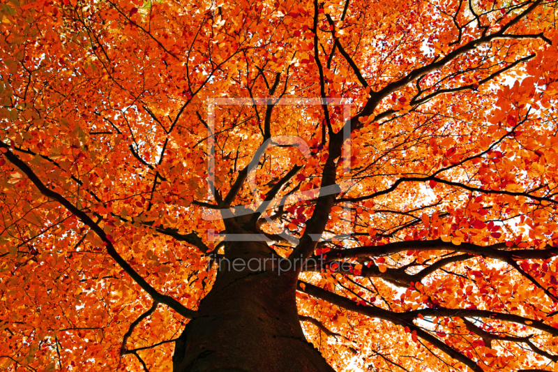 frei w&auml;hlbarer Bildausschnitt f&uuml;r Ihr Bild auf Tischdecke