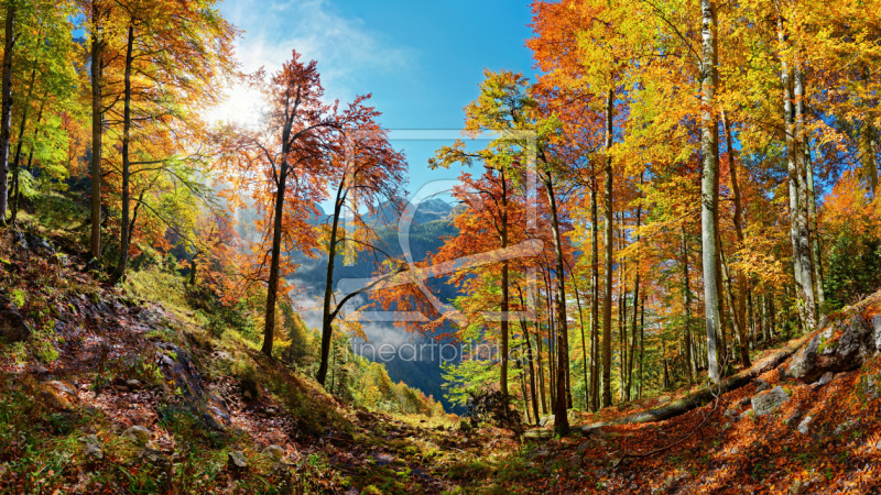 frei wählbarer Bildausschnitt für Ihr Bild auf Tischdecke
