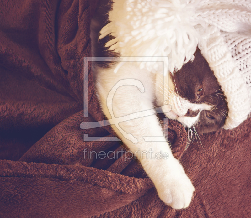 frei w&auml;hlbarer Bildausschnitt f&uuml;r Ihr Bild auf Tischdecke