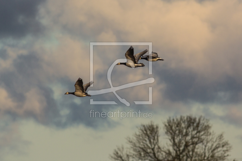 frei w&auml;hlbarer Bildausschnitt f&uuml;r Ihr Bild auf Tischdecke