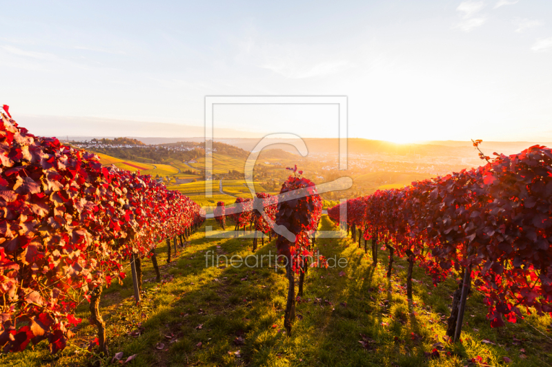 frei wählbarer Bildausschnitt für Ihr Bild auf Tischdecke