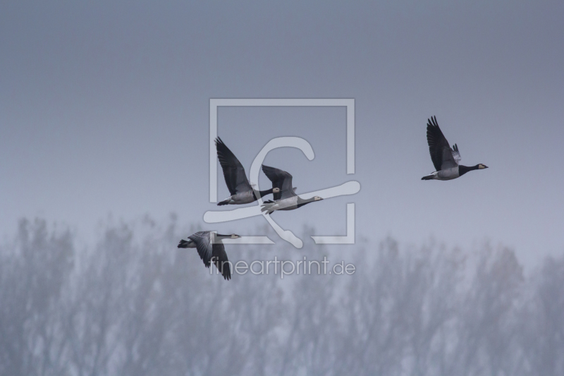 frei w&auml;hlbarer Bildausschnitt f&uuml;r Ihr Bild auf Tischdecke