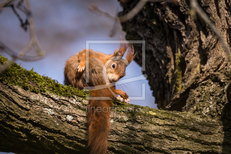 frei w&auml;hlbarer Bildausschnitt f&uuml;r Ihr Bild auf Tischdecke