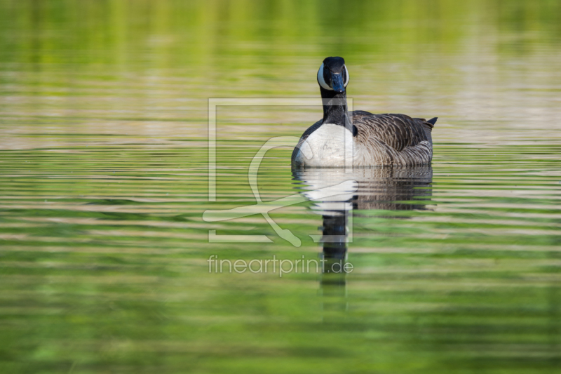 frei w&auml;hlbarer Bildausschnitt f&uuml;r Ihr Bild auf Tischdecke