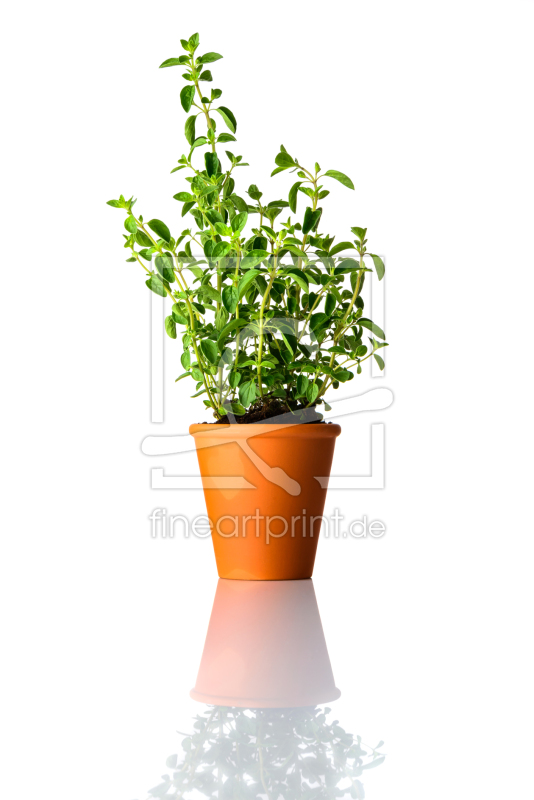 frei wählbarer Bildausschnitt für Ihr Bild auf Tischdecke