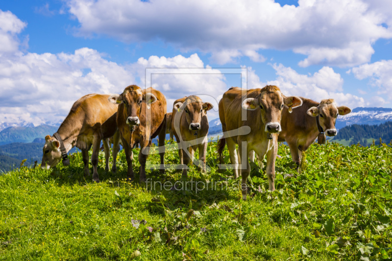 frei w&auml;hlbarer Bildausschnitt f&uuml;r Ihr Bild auf Tischdecke
