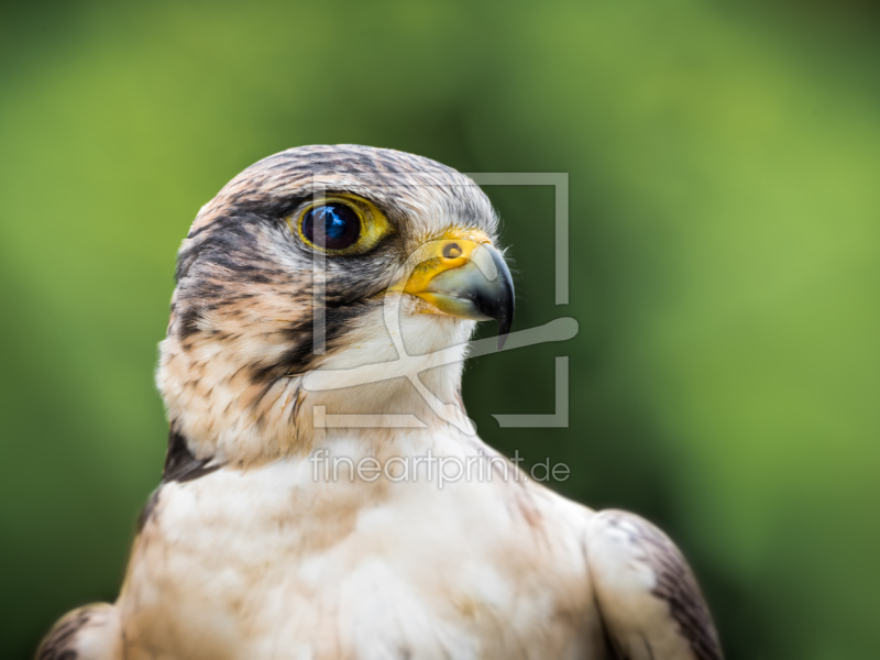 frei w&auml;hlbarer Bildausschnitt f&uuml;r Ihr Bild auf Tischdecke