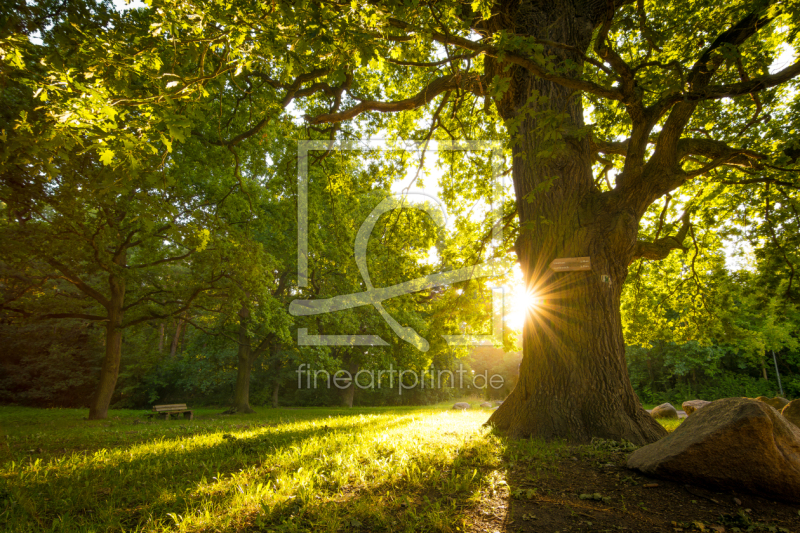 frei w&auml;hlbarer Bildausschnitt f&uuml;r Ihr Bild auf Tischdecke