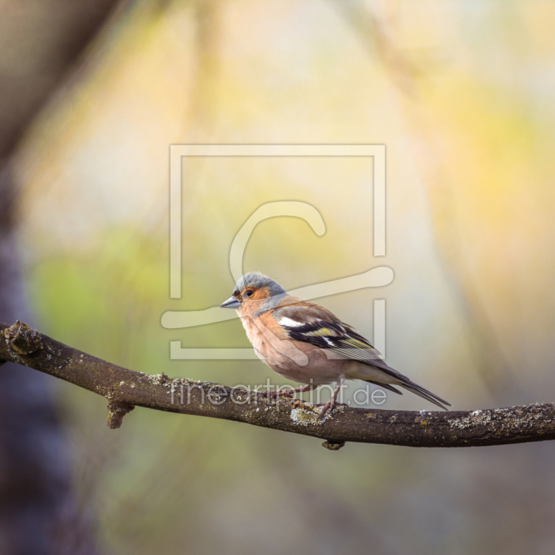 frei w&auml;hlbarer Bildausschnitt f&uuml;r Ihr Bild auf Tischdecke
