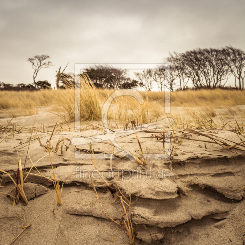 frei w&auml;hlbarer Bildausschnitt f&uuml;r Ihr Bild auf Tischdecke