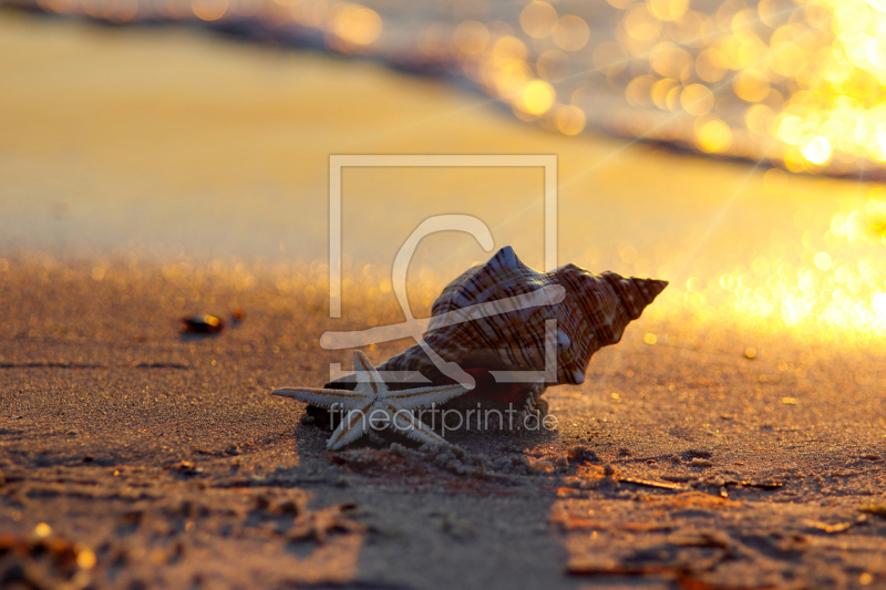 frei w&auml;hlbarer Bildausschnitt f&uuml;r Ihr Bild auf Tischdecke