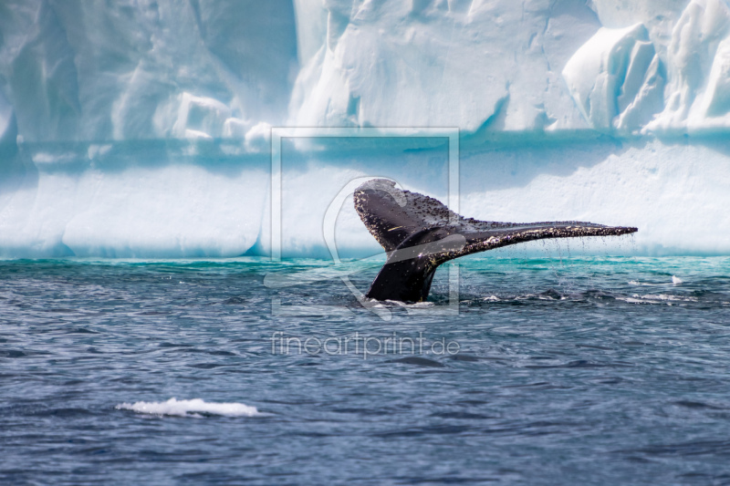 frei w&auml;hlbarer Bildausschnitt f&uuml;r Ihr Bild auf Tischdecke