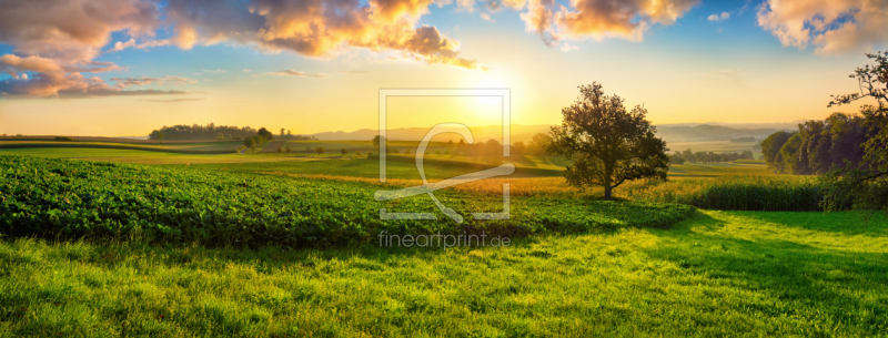 frei w&auml;hlbarer Bildausschnitt f&uuml;r Ihr Bild auf Tischdecke