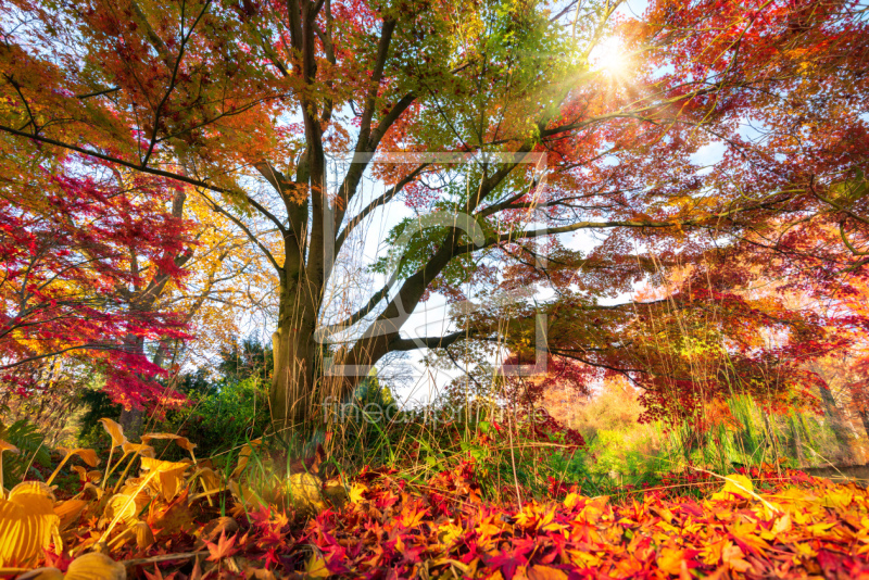 frei w&auml;hlbarer Bildausschnitt f&uuml;r Ihr Bild auf Tischdecke