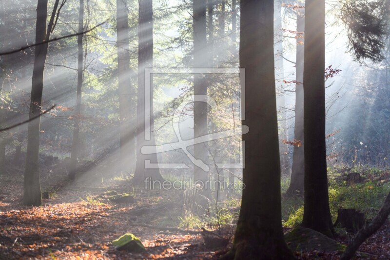 frei w&auml;hlbarer Bildausschnitt f&uuml;r Ihr Bild auf Tischdecke