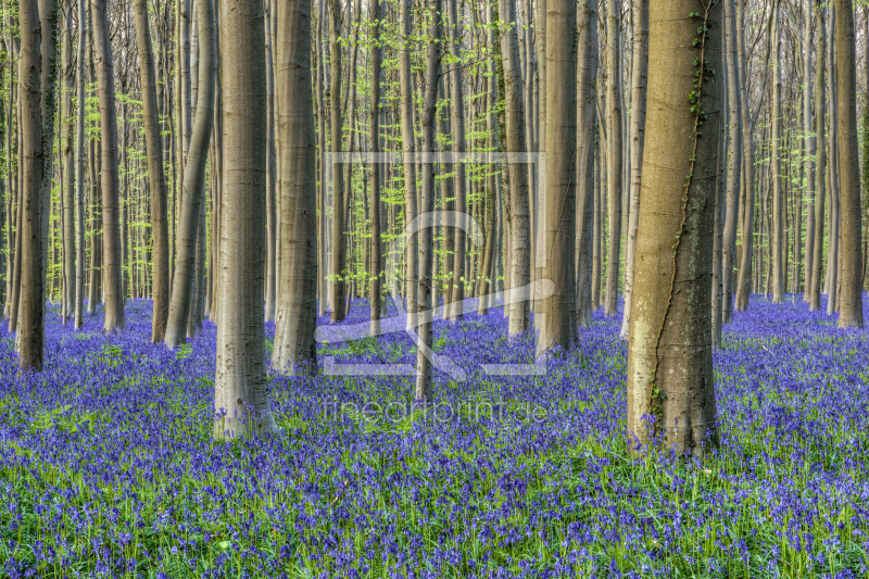 frei w&auml;hlbarer Bildausschnitt f&uuml;r Ihr Bild auf Tischdecke