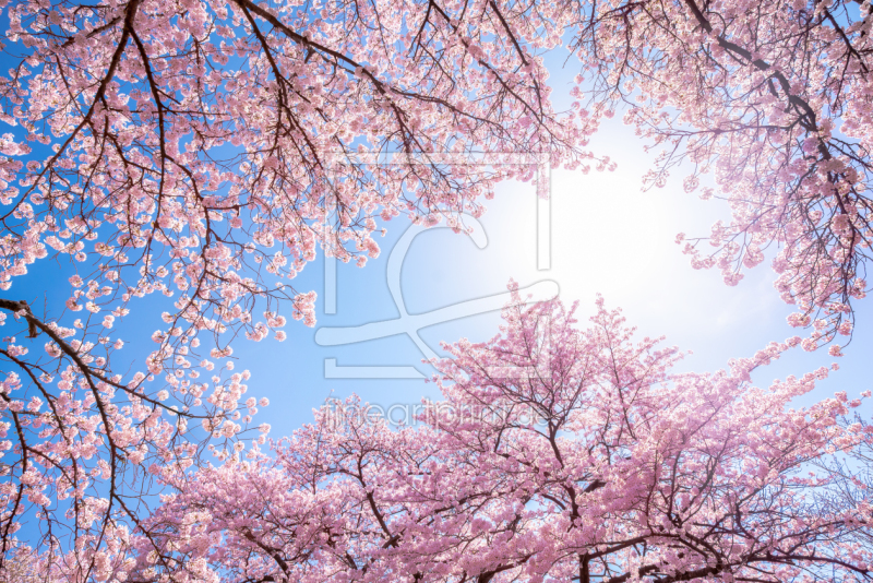 frei w&auml;hlbarer Bildausschnitt f&uuml;r Ihr Bild auf Tischdecke