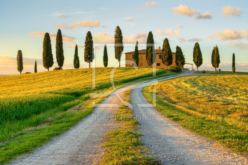 frei w&auml;hlbarer Bildausschnitt f&uuml;r Ihr Bild auf Tischdecke