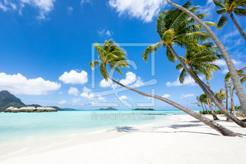 frei w&auml;hlbarer Bildausschnitt f&uuml;r Ihr Bild auf Tischdecke