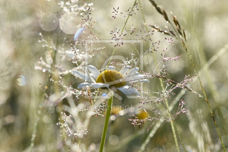 frei w&auml;hlbarer Bildausschnitt f&uuml;r Ihr Bild auf Tischdecke
