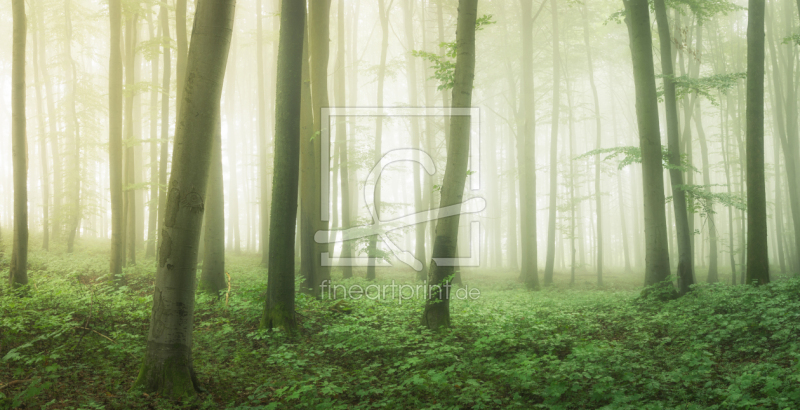 frei w&auml;hlbarer Bildausschnitt f&uuml;r Ihr Bild auf Tischdecke