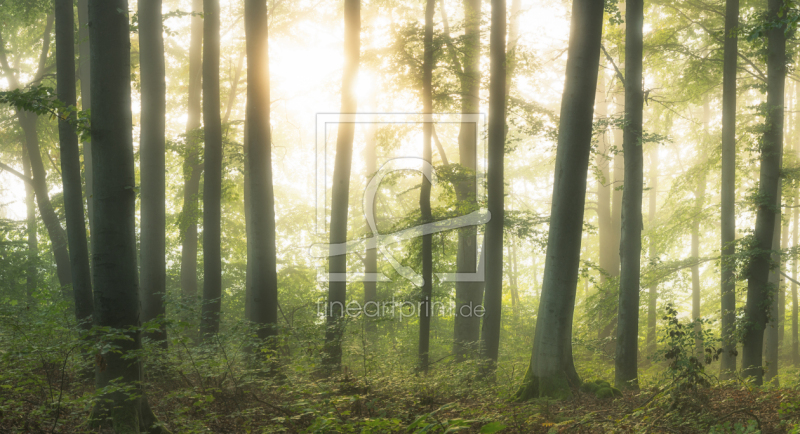 frei w&auml;hlbarer Bildausschnitt f&uuml;r Ihr Bild auf Tischdecke