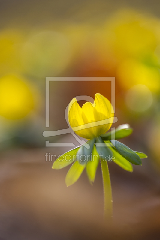 frei w&auml;hlbarer Bildausschnitt f&uuml;r Ihr Bild auf Tischdecke