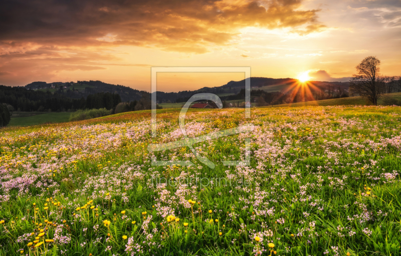 frei w&auml;hlbarer Bildausschnitt f&uuml;r Ihr Bild auf Tischdecke