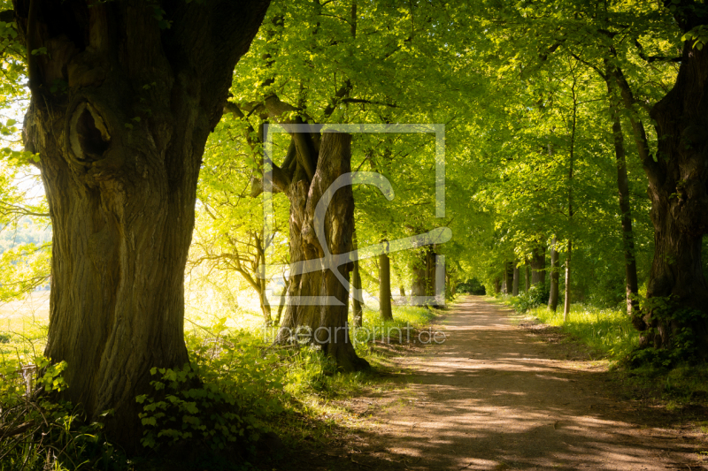 frei w&auml;hlbarer Bildausschnitt f&uuml;r Ihr Bild auf Tischdecke