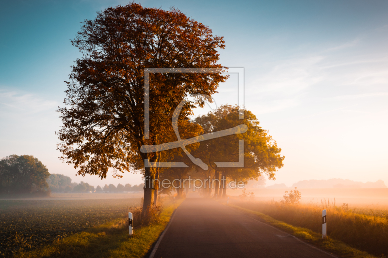 frei wählbarer Bildausschnitt für Ihr Bild auf Tischdecke